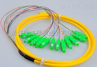 广电SC APC12芯束状尾纤 束状跳线光纤跳线尾纤