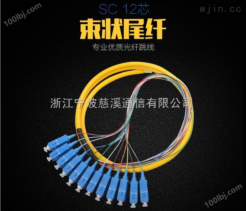 12芯SC束状尾纤单模束状光纤尾纤SC12芯光钎尾纤延长线缆1.5米