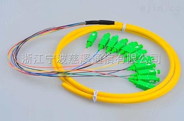 广电SC APC12芯束状尾纤 束状跳线光纤跳线尾纤