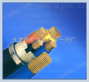 自贡-HYAC,30x2x0.5,50x2x0.5,自承式通信电缆