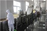 青岛启东烘干设备蒜片烘干机优质生产厂家