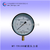 MY-YNX耐震电接点压力表