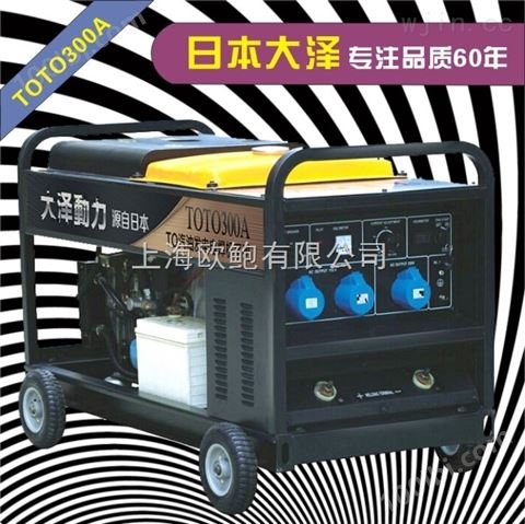 南京中频式300A单相汽油发电电焊机